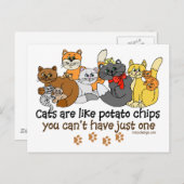 Katten zijn als chips briefkaart (Voorkant / Achterkant)