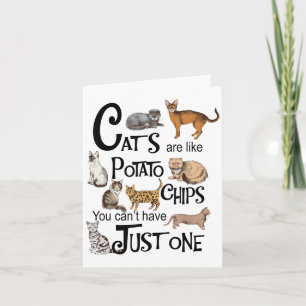 Katten zijn als chips, je kunt er niet één hebben kaart