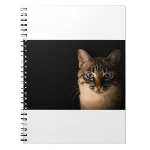 Katten zijn de beste 20 notitieboek