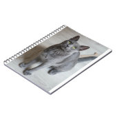 Katten zijn de beste 57 notitieboek (Linkerzijde)