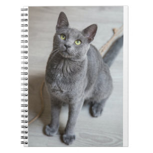 Katten zijn de beste 57 notitieboek