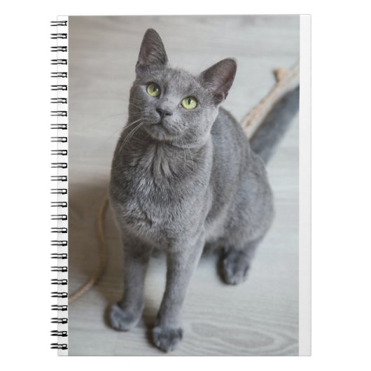 Katten zijn de beste 57 notitieboek (Voorkant)