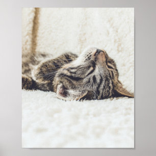 Katten zijn de beste 88 poster