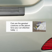 Katten zijn de grootste Bumpersticker (Op auto)