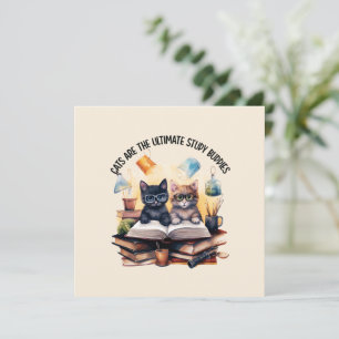 Katten zijn de ultieme studiegenoten