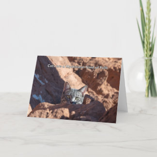 Katten zijn een mysterieus soort van folk notecard aankondiging