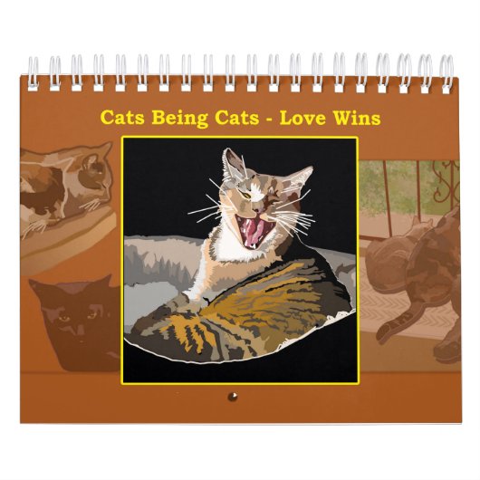 Katten zijn Katten - Kalender - Liefde wint (Hoes)