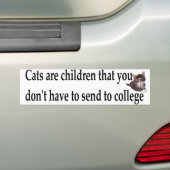 katten zijn kinderen bumpersticker (Op auto)