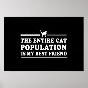 Katten zijn mijn beste vriend poster