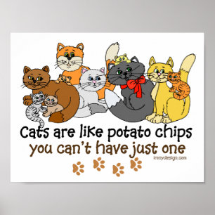 Katten zijn net als Gezegde van aardappelchips Poster