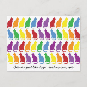 Katten zijn net als honden Briefkaart