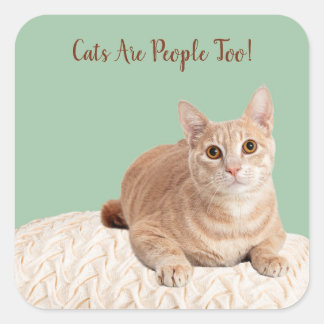 Katten zijn ook Stickers