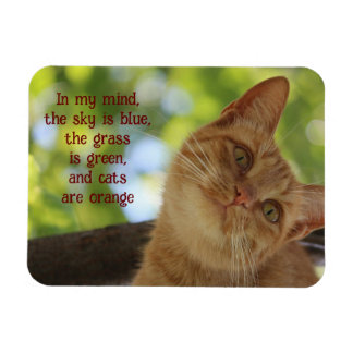 Katten zijn Oranje Magneet