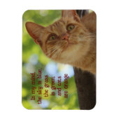 Katten zijn Oranje Magneet (Verticaal)