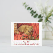Katten zijn sierlijk briefkaart (Staand voorkant)