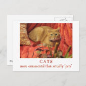 Katten zijn sierlijk briefkaart (Voorkant / Achterkant)