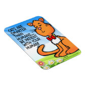Katten zijn slimmer magneet (Rechterzijde)