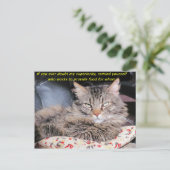 Katten zijn superieur briefkaart (Staand voorkant)