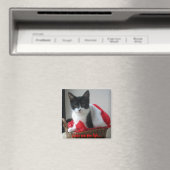 Katten zijn voor leven... magneet (Insitu (Vaatwasser))