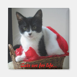 Katten zijn voor leven... magneet