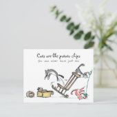 Katten zijn zoals chips/Funny Cat Briefkaart (Staand voorkant)