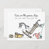 Katten zijn zoals chips/Funny Cat Briefkaart (Voorkant / Achterkant)