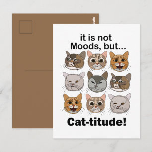 Kattenattitude Kattenstemmingen Kattenliefhebbers Briefkaart