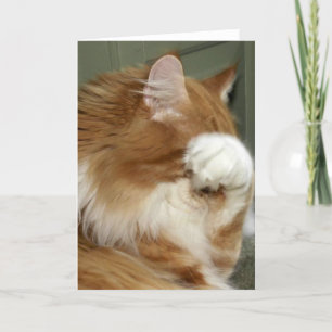 Kattenbekleding ogen kaart