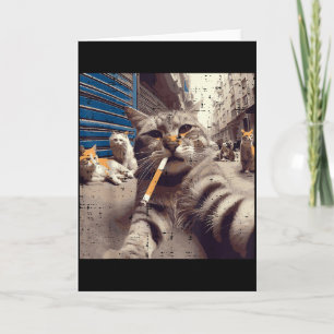 Kattenbende Straatkatten Selfie Grappige Meme Humo Kaart