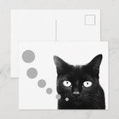 Kattenbericht Briefkaart (Voorkant / Achterkant)