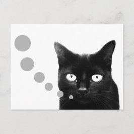 Kattenbericht Briefkaart