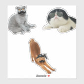  kattenbonnen sticker (Vel)