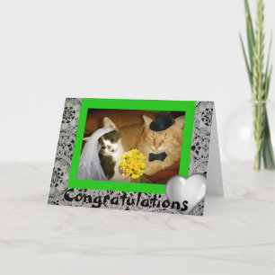 Kattenbruiloft Kaart