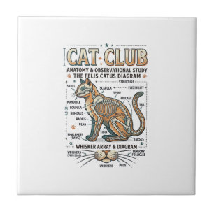 Kattenclub Kat Anatomie Wetenschappelijk Diagram V Tegeltje