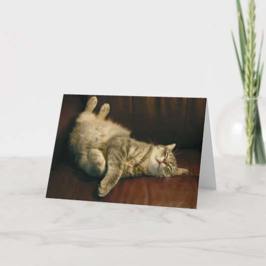 Kattendutje - in het extreme kaart (Voorkant)