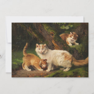 Kattenfamilie spelen Julius Adam de Jongere