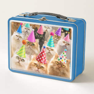 Kattenfeest
