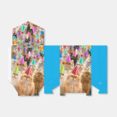 Kattenfeestje Bedankdoosjes (Uitgevouwen)