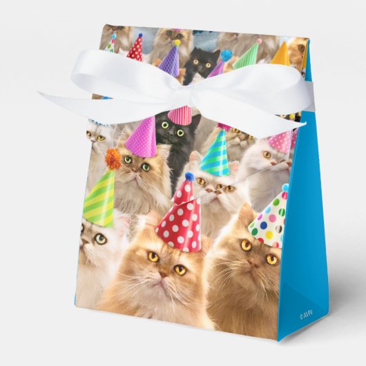 Kattenfeestje Bedankdoosjes (Voorkant Zijde)