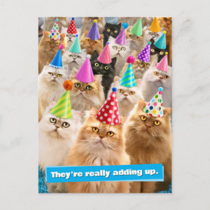 Kattenfeestje Briefkaart