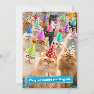 Kattenfeestje Kaart