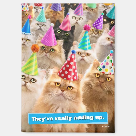 Kattenfeestje Magneet (Voorkant)
