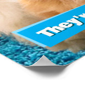 Kattenfeestje Poster (Hoek)
