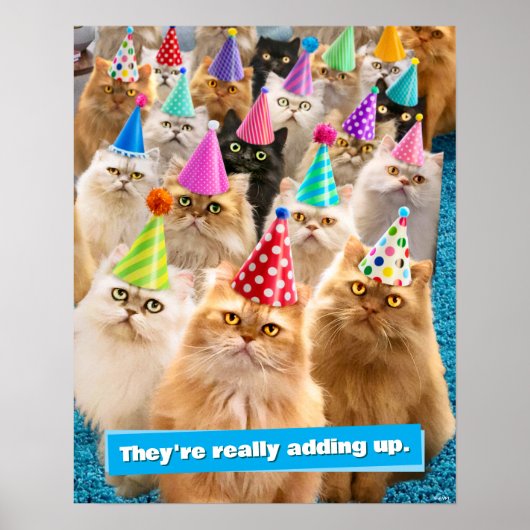 Kattenfeestje Poster (Voorkant)