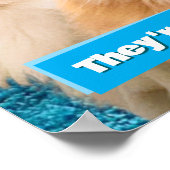 Kattenfeestje Poster (Hoek)