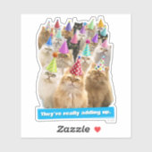 Kattenfeestje Sticker (Vel)
