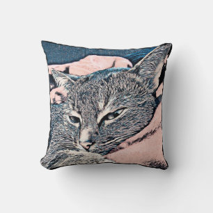 Kattenfoto, kat, huisdieren, grappige kat, pastela kussen