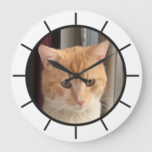 Kattenfoto, vervangbaar, Grappig Grote Klok