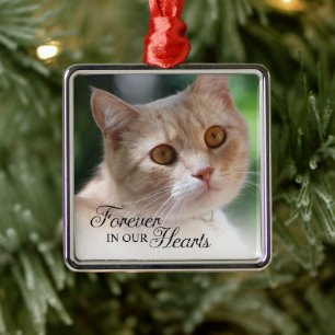 Kattenfoto 'Voor Altijd in Onze Hart' Metalen Ornament
