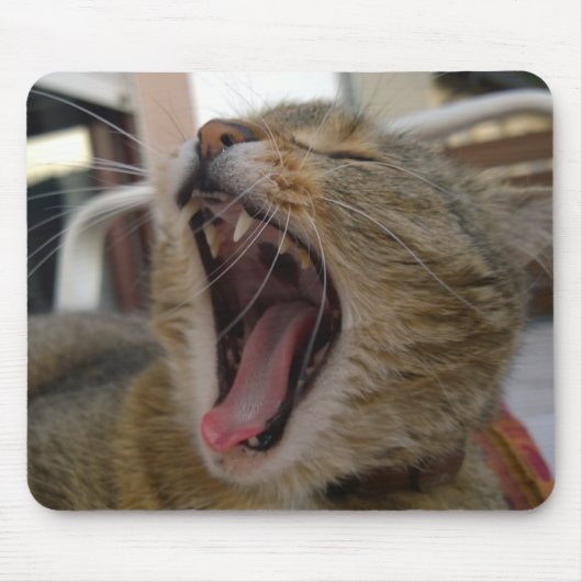 Kattengeeuwen Muismat (Voorkant)